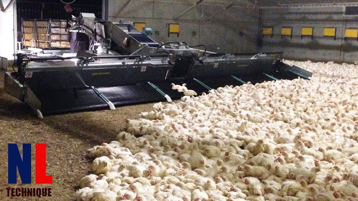 Modern Farming Technology with Cool Machines for The Highest Productivity
