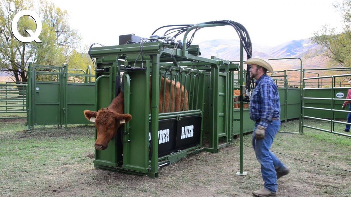 Modern Farming Technology For a Next Level of Productivity