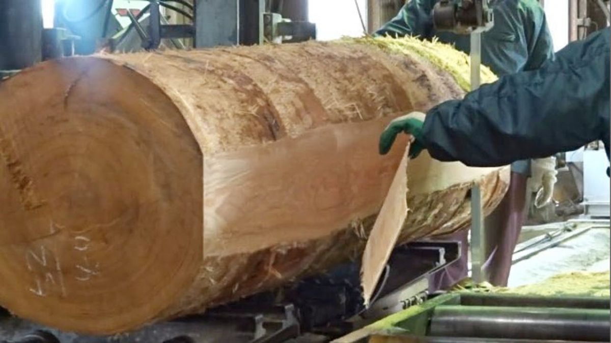 New Technology carpenters shocked. Incredibly powerful carpenter tools.