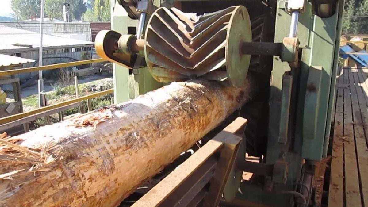 Amazing Automatic Wood Sawmill Machines Modern Technology – EXTREME Fast Wood Cutting Machine