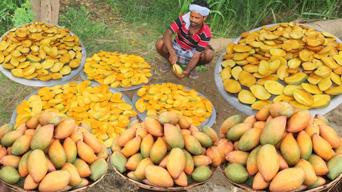 Primitive Technology: Amazing Find Village Land Mango with Juice Drinking Delicious VILLAGE HUNTER