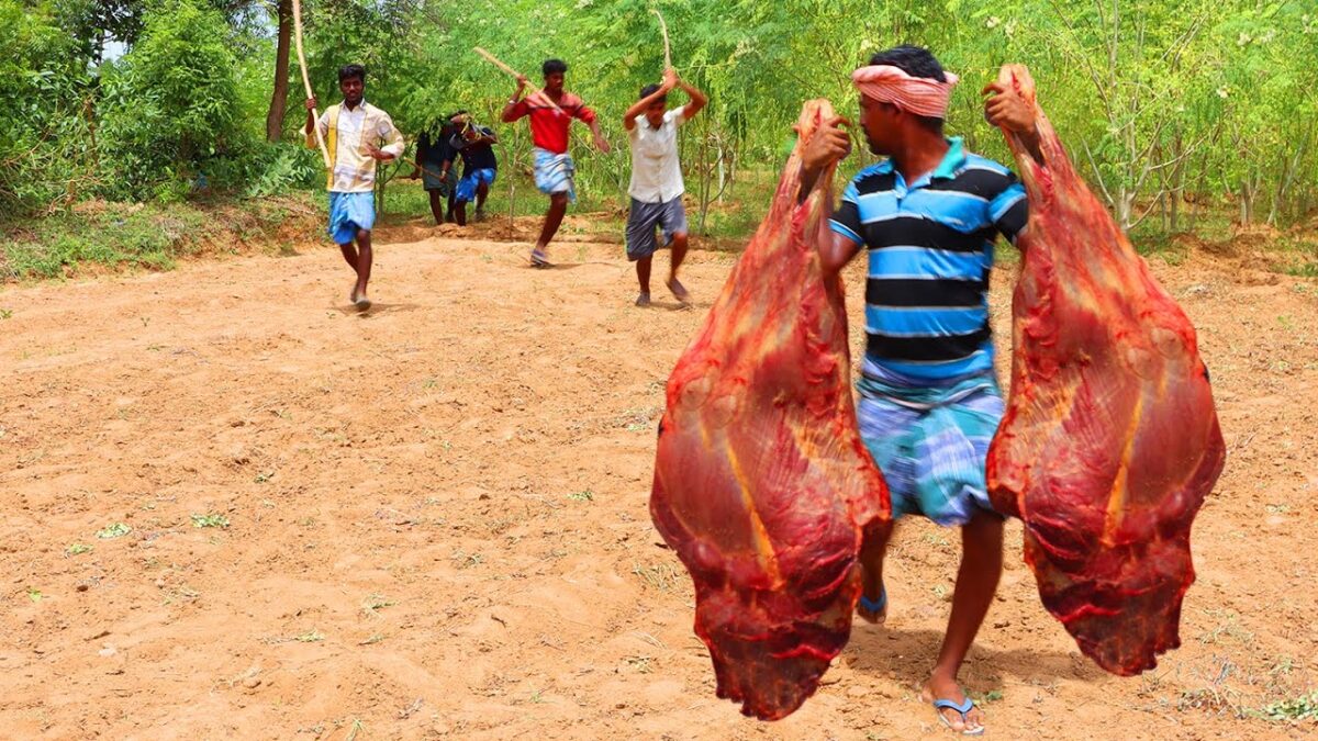 Primitive Technology: Hunting TWO BIGGEST SIZE TWO BEEF LEG AND BEEF BIRYANI COOKING VILLAGE HUNTER
