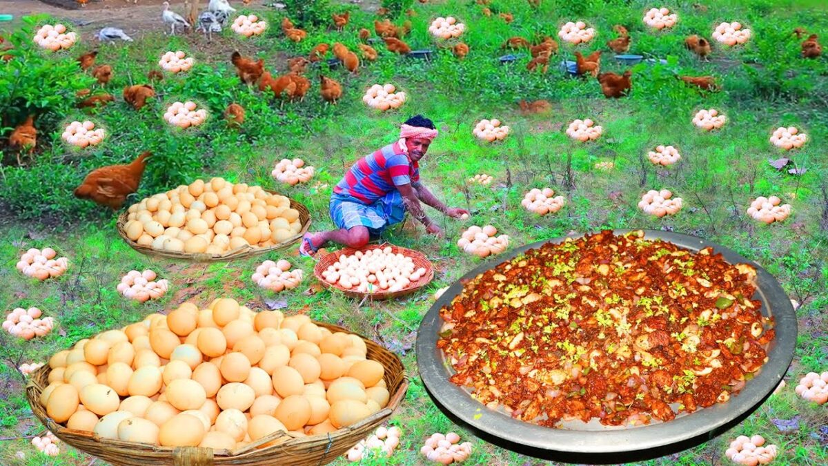 Primitive Technology: Amazing Country Chicken Egg Find and Chilli Egg Cooking Eating VILLAGE HUNTER