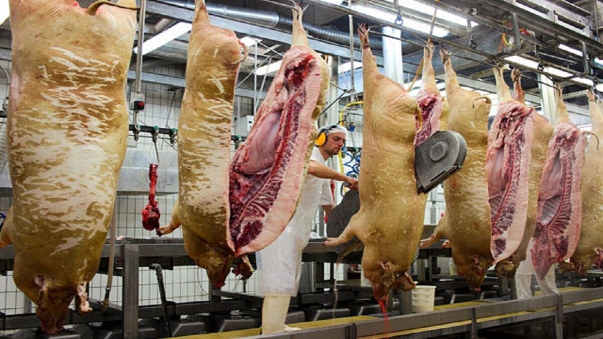 Modern Meat Processing Process With Giant Meat Cutter – Amazing Ham Production Technology