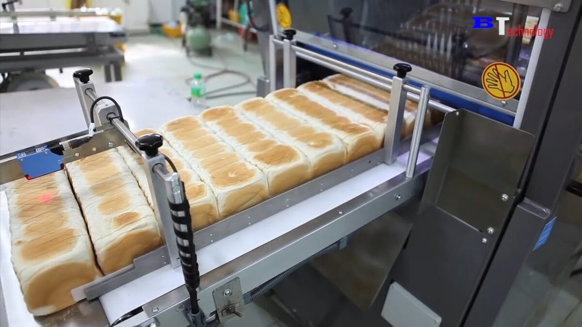 Bread Processing Factory, Automated Production Line With High Technology Machines, Ice Cream Process