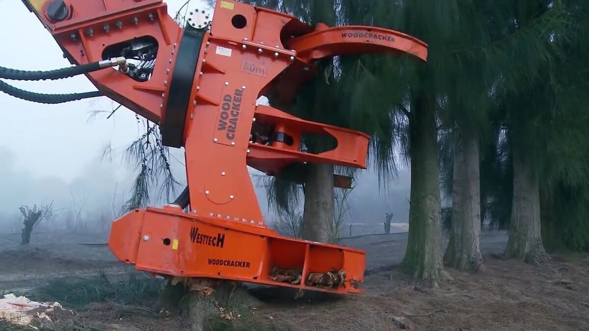 Amazing Latest Technology Excavator Harvest Machine Working – Equipment Long Reach Cutting Big Tree