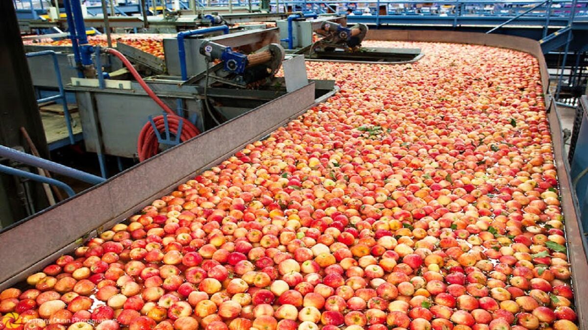 Amazing Modern Apple Technology Processing Factory, How To Farming Harvest Fruit & Product Process