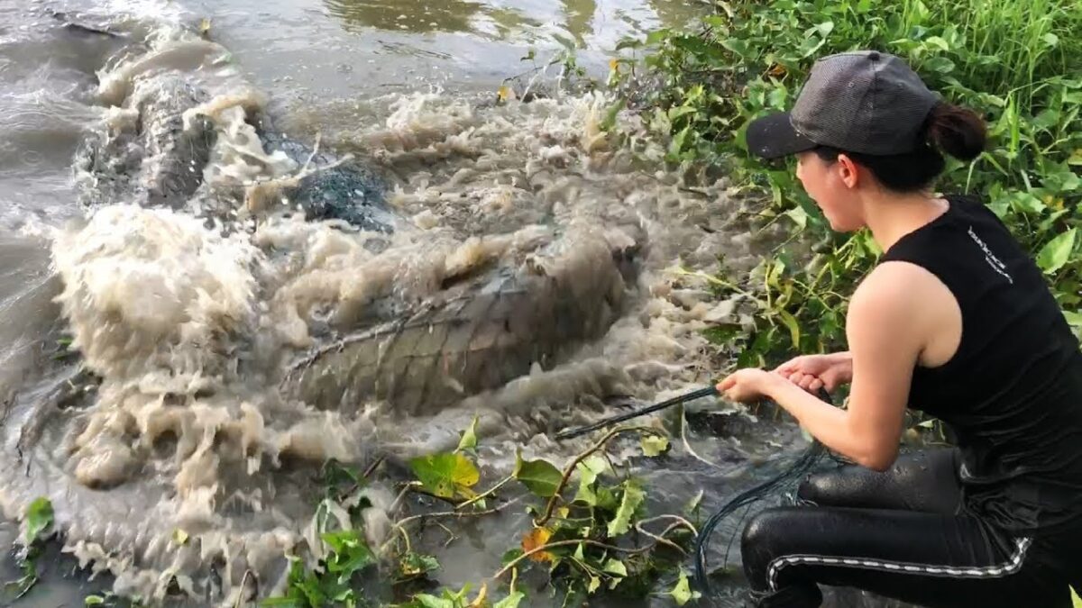 Top 4 Primitive Technology With Survival Girl Fishing Giant Fish