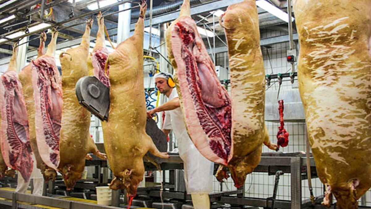 This outstanding farming technology is INCREDIBLE. Modern meat cutting machines goat milk processing