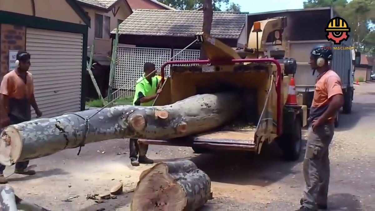 Incredible Dangerous Fastest Biggest Wood Crusher, Extreme Tree Removal Machines Modern Technology