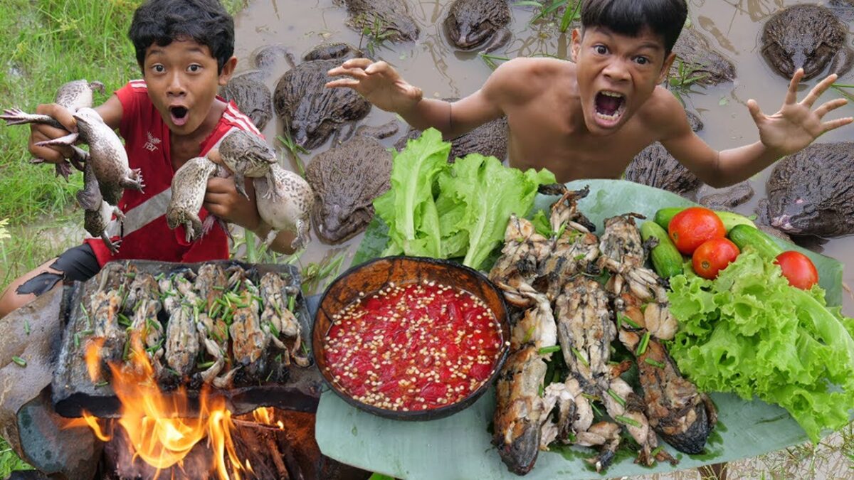 Primitive Technology – Eating Delicious In Jungle – Cacth Frogs Cooking On The Rock #168