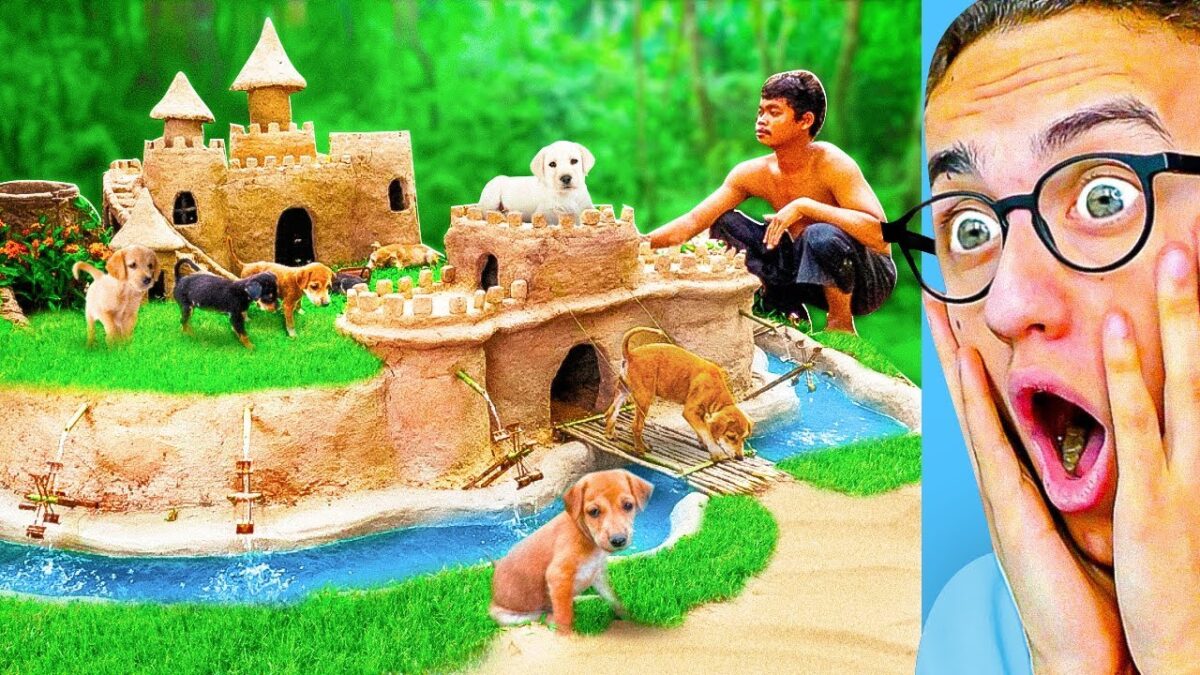 He Built An INSANE CASTLE HOUSE For PUPPIES! (Primitive Technology)
