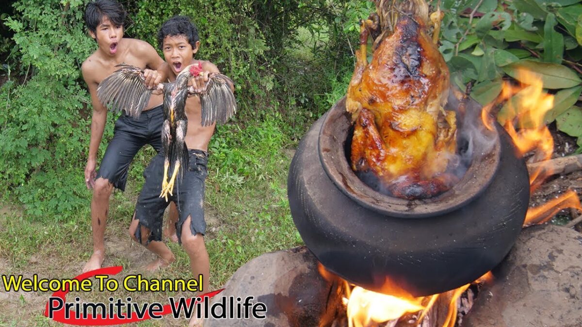Primitive Technology – Cacth & cooking chicken in clay pot amazing – eating delicious Ep00114
