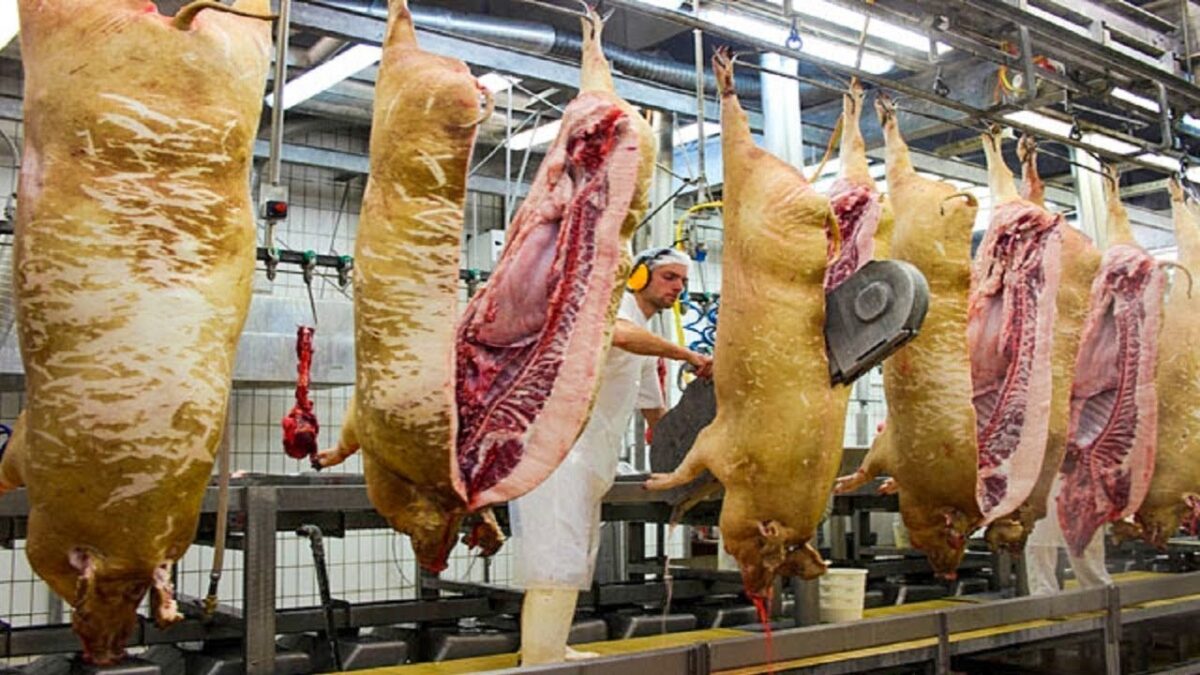 This outstanding farming technology is INCREDIBLE. Modern meat cutting machines goat milk processing