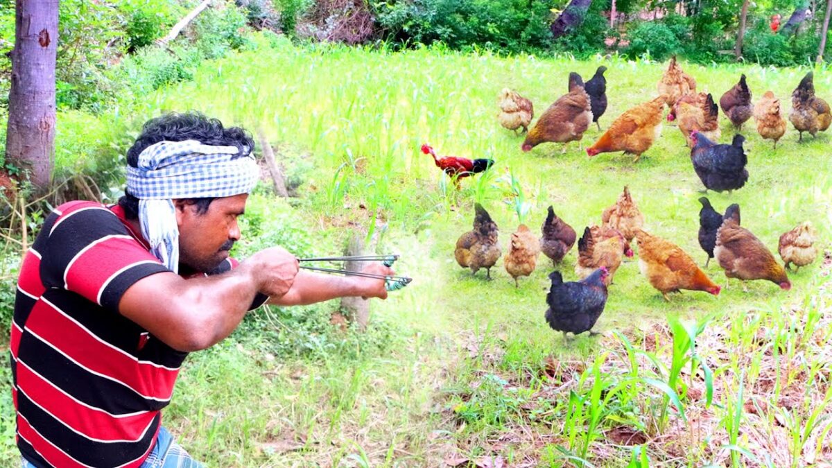 Primitive Technology : Slingshot Hunt and Full Chicken Biryani Cook Eating Delicious |VILLAGE HUNTER