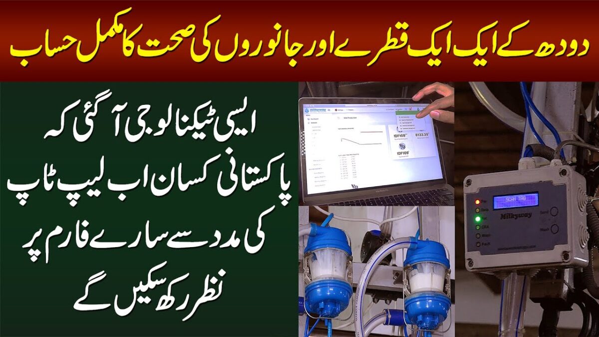 Dairy Farm Automation – Aisi Technology Ke Farmers Ab Laptop Se Puray Farm Per Nazar Rakh Sakenge