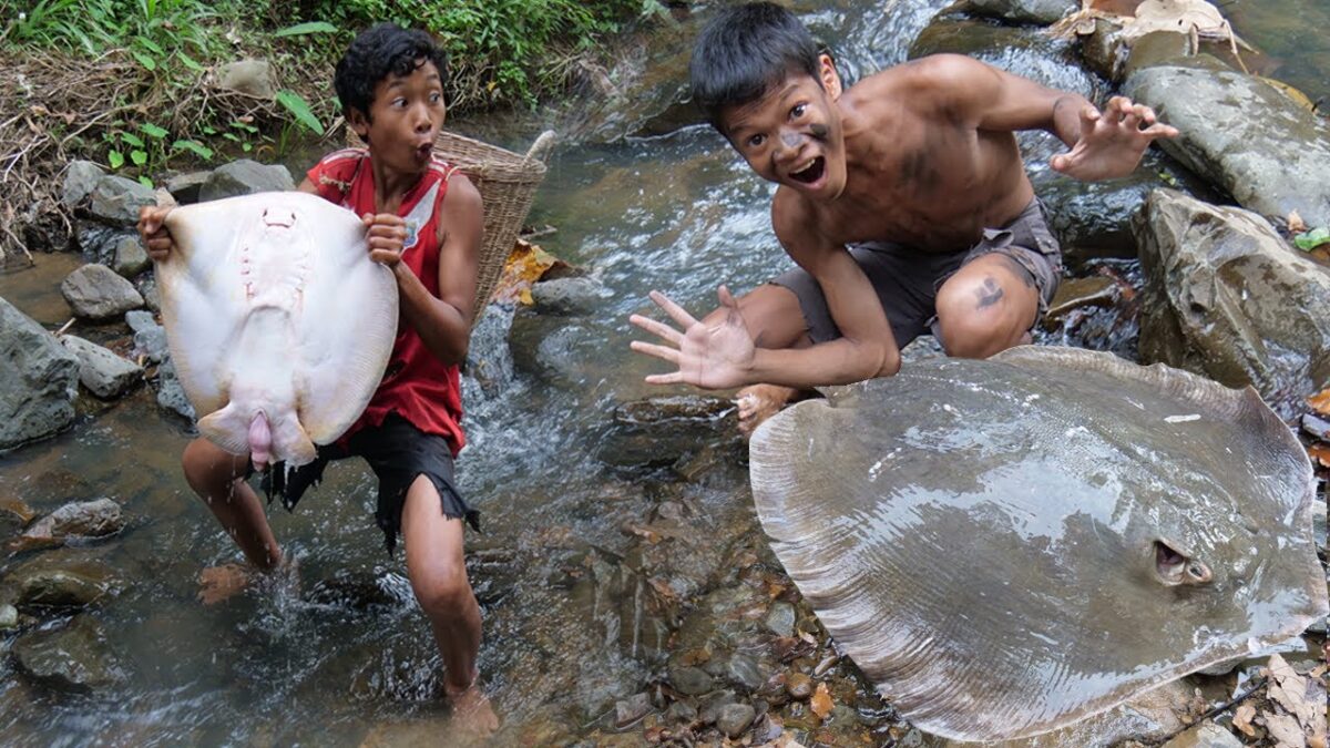 Primitive Technology – Eating Delicious In Jungle – Cooking Giant Stingray Fish For Food #196