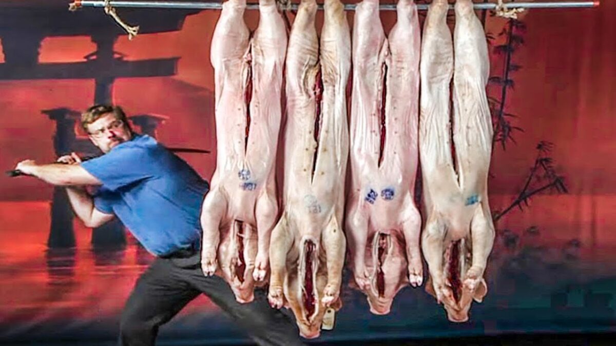 Incredible modern pork processing factory technology. Exciting workers fast cutting meat skill