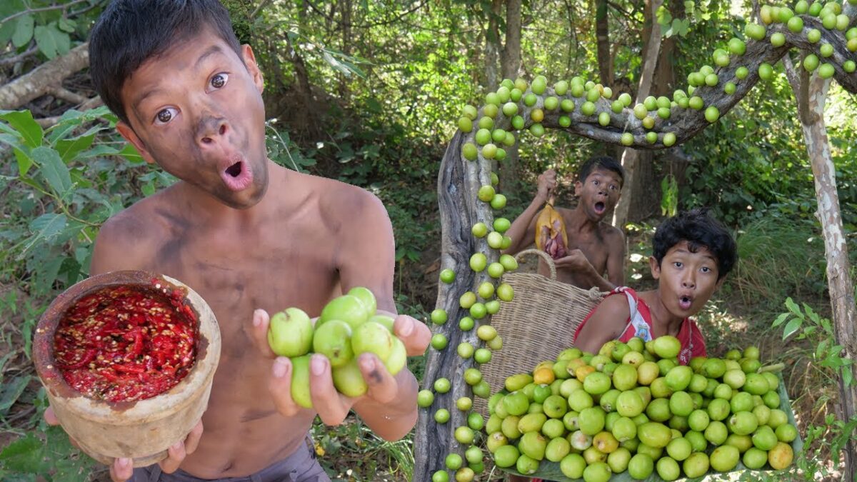 Primitive Technology – Eating Delicious – Rich Jujube Fruits In Jungle #194