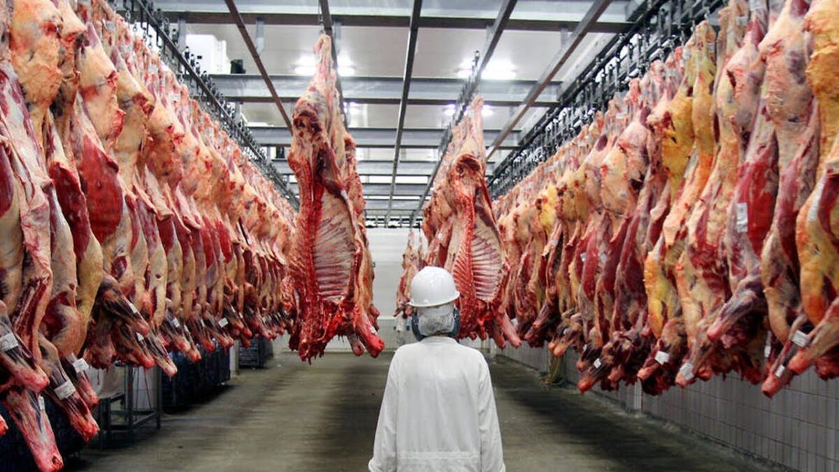 Incredible Automatic Modern Fastest Pork And Beef Cutting Technology Factory – Food Line Factory