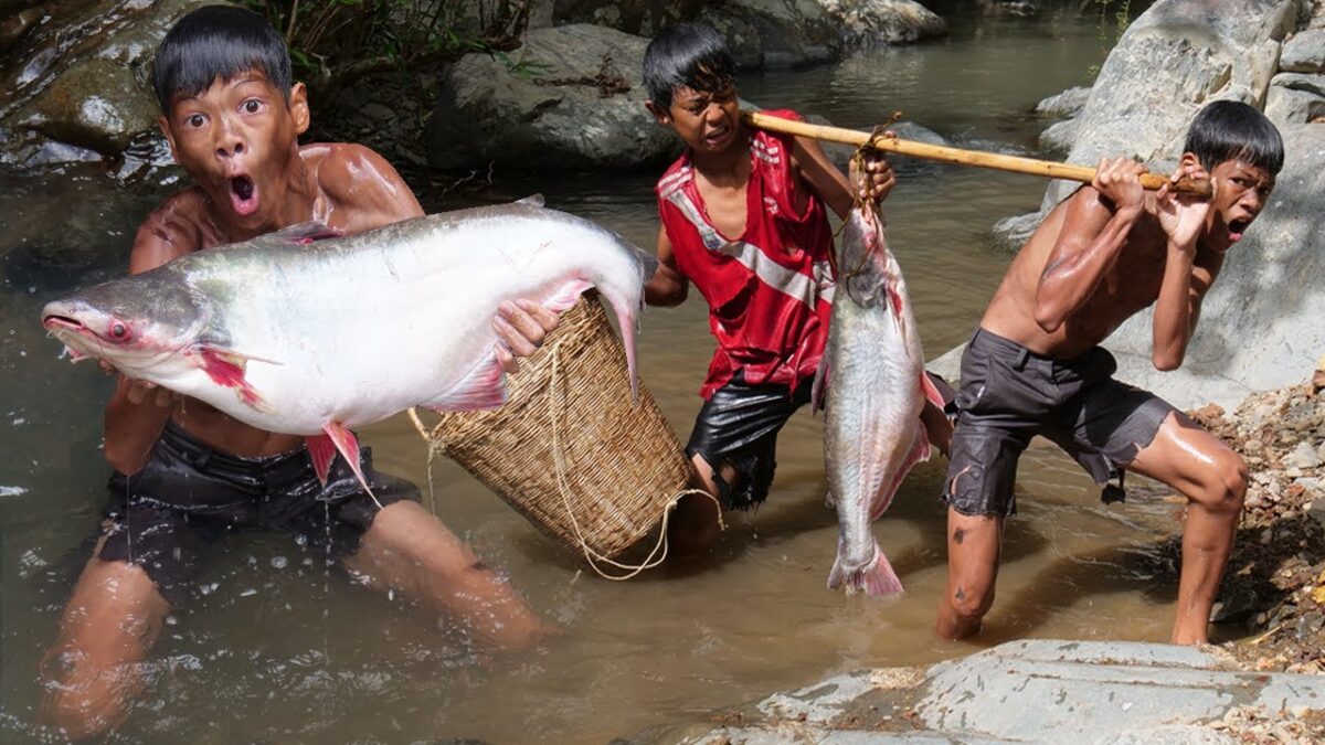Primitive Technology – Eating Delicious – Find Food Meet Big Fish In Waterfall #199