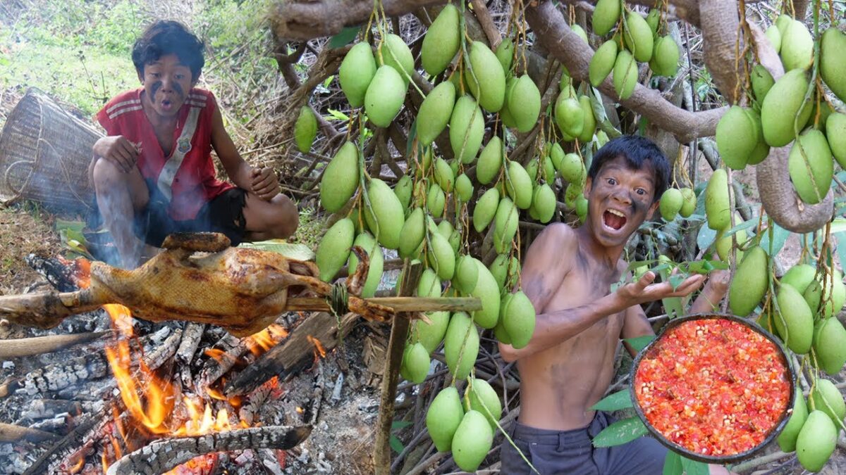 Primitive Technology – Eating Rich Mango Fruits Delicious – Cooking Duck In Jungle #201