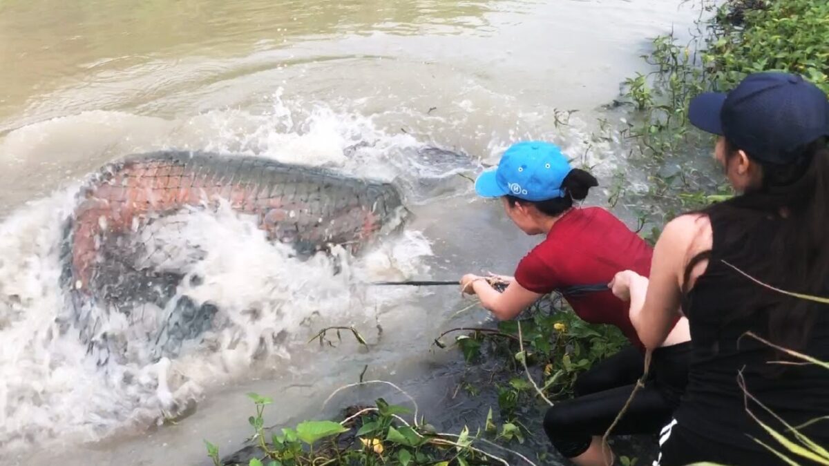 Top 4 Primitive Technology Survival Fishing Skills Catch Big Fish