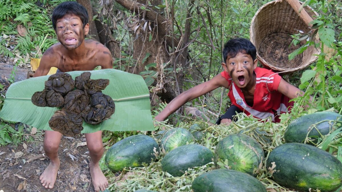 Primitive Technology – Eating Delicious – Found Watermelons Pick Near The River #206