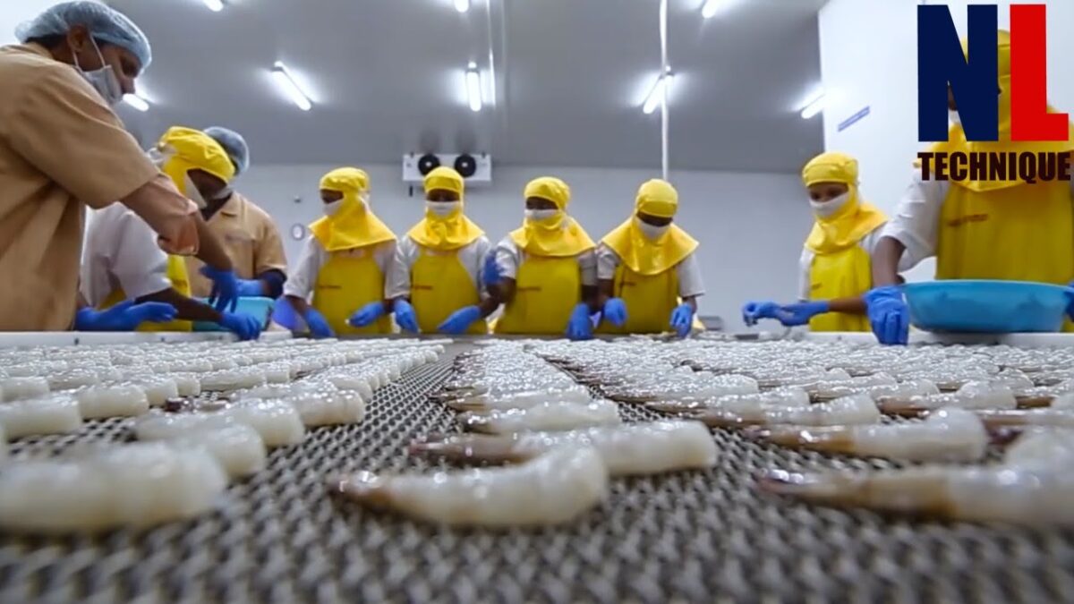 Modern Food Processing Technology with Cool Automatic Machines That Are At Another Level Part 26