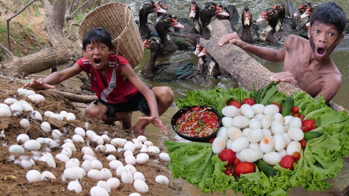 Primitive Technology – Eating Delicious – Find Food Meet Duck And Cooking Egg #198