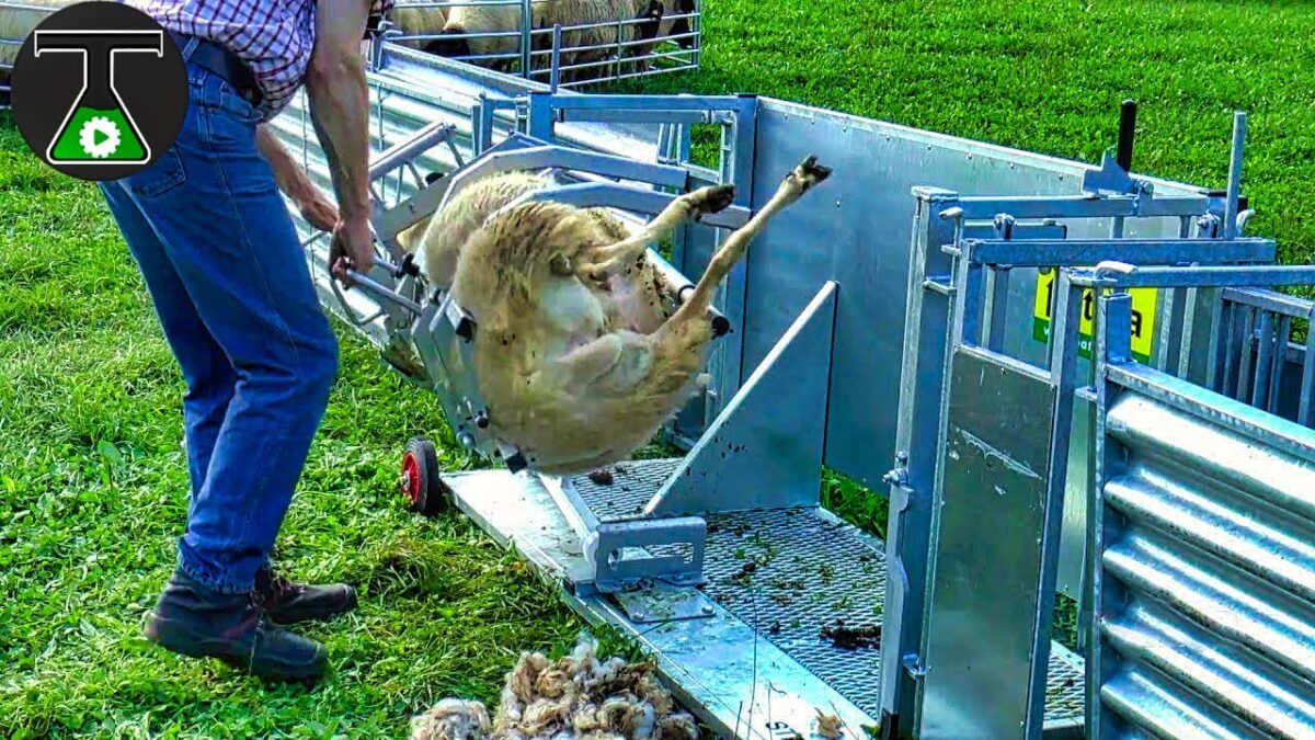 Modern Farming Machines & Technology For Amazing Productivity