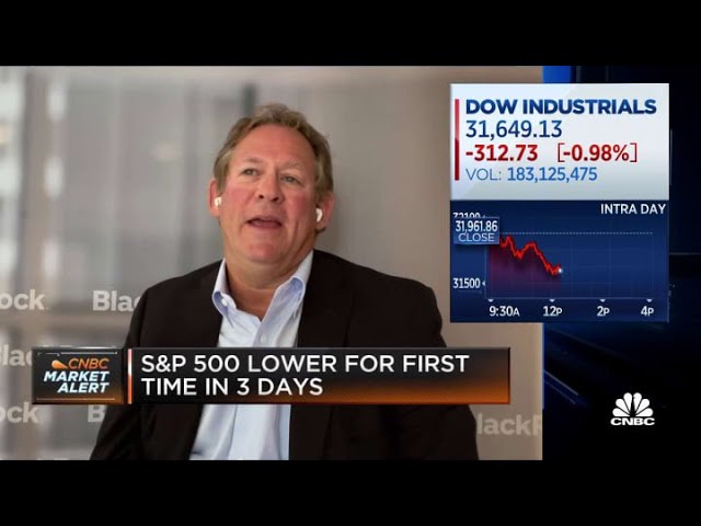 Do not need to move away from technology: BlackRock’s Rieder