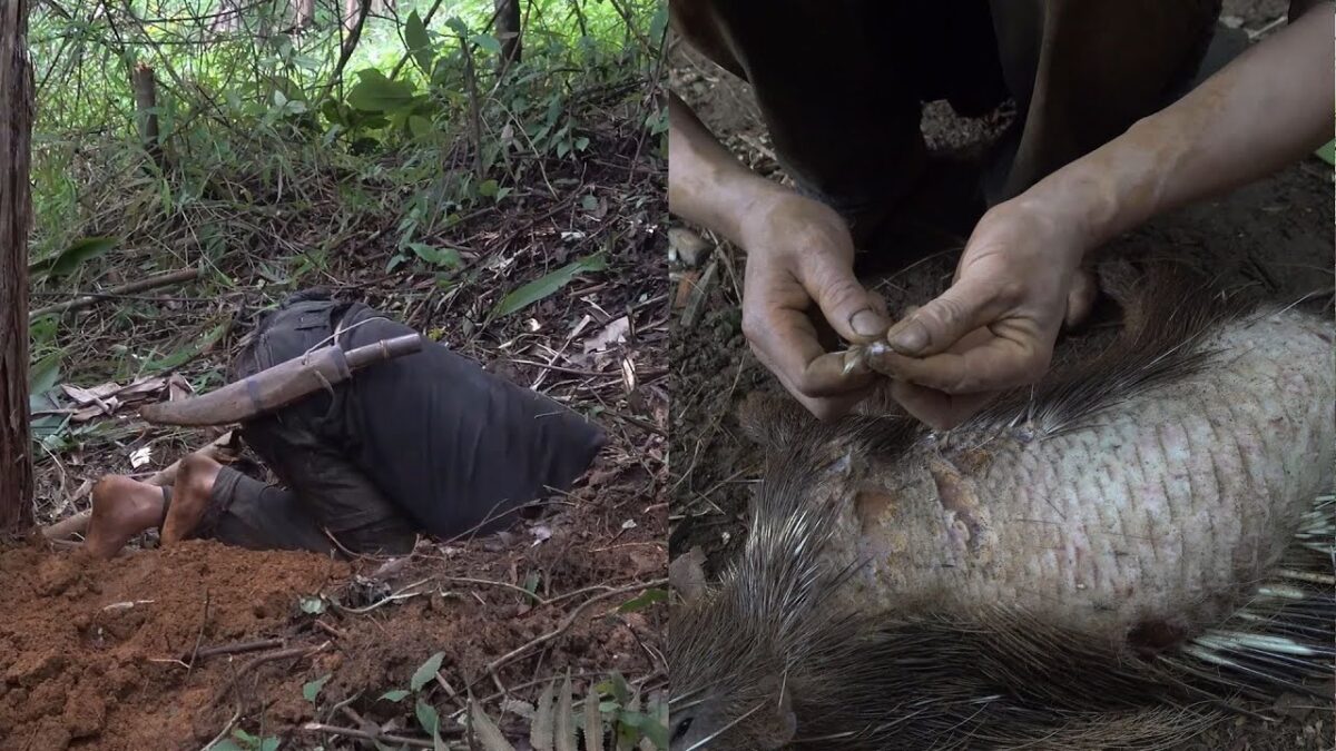 Primitive Technology: Digging, Hunting and Preserving