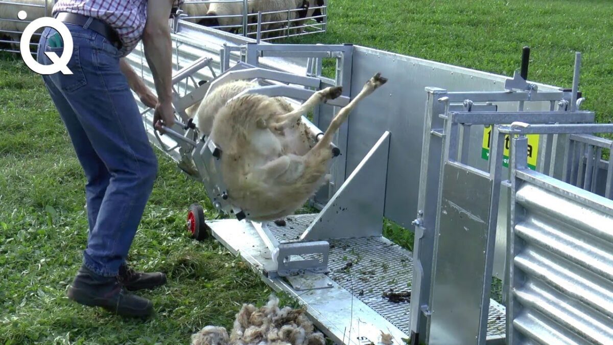 Modern Farming Technology For a Next Level of Productivity ▶2