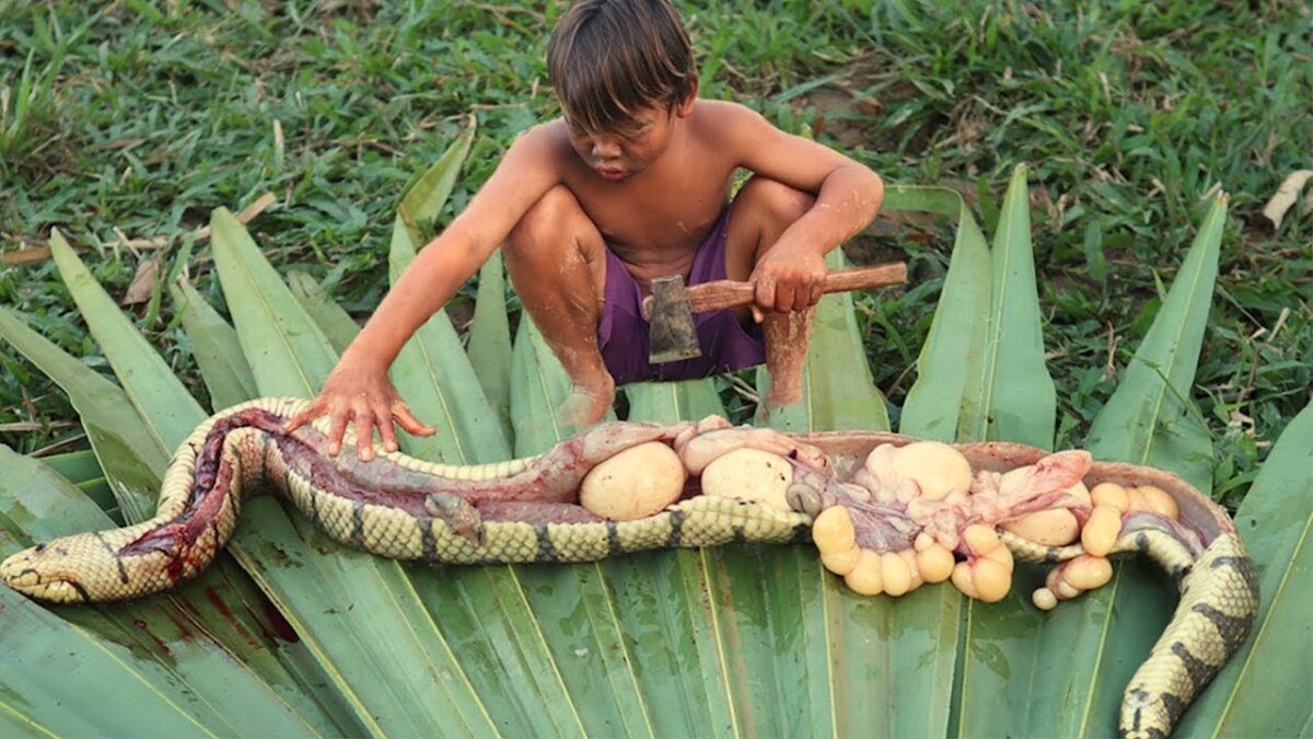 Primitive Technology: Rescue Chicken Eggs from mother Snake – Cooking Mother Snake Eggs