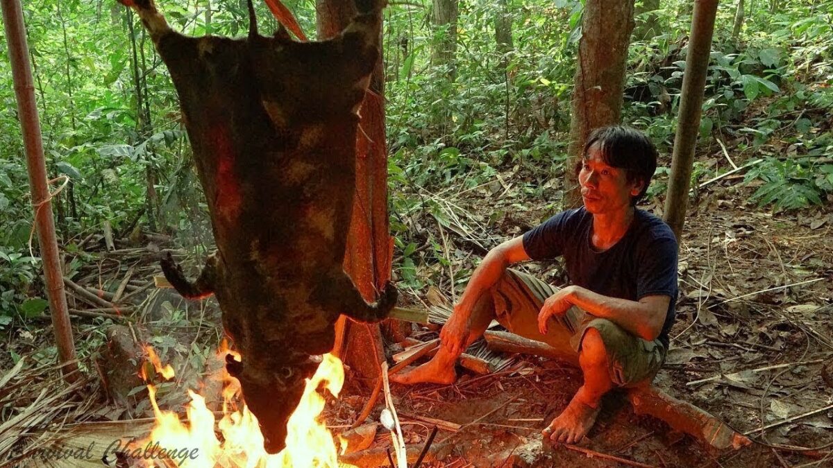 Primitive technology – The 6 month survival challenge in the jungle – Live Stream