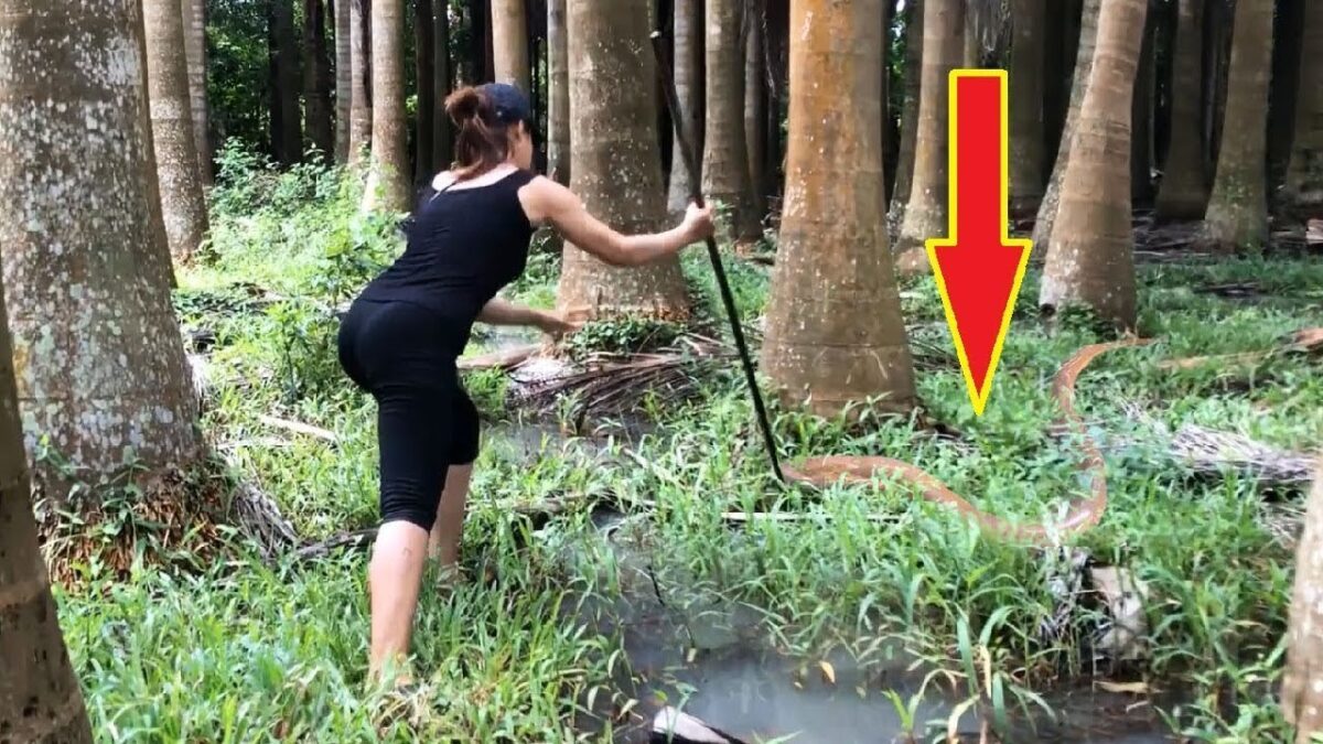 Top 4 Primitive Technology Survival Fishing Skills Catch Big Fish