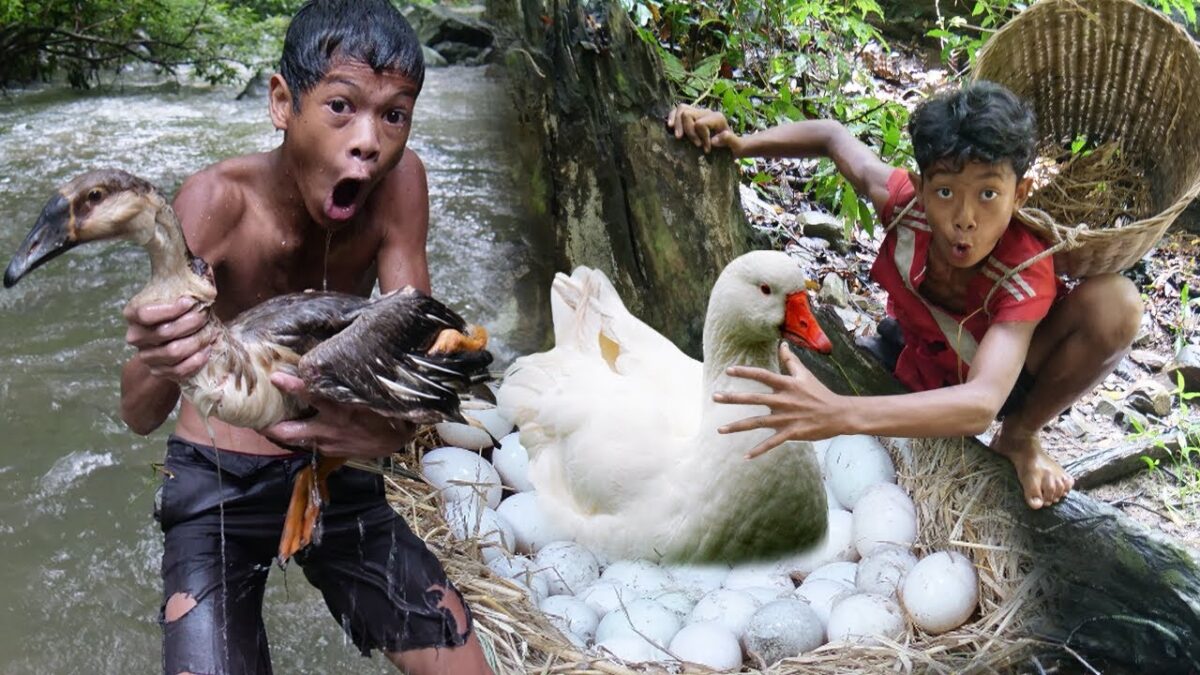 Primitive Technology – Eating Delicious In Jungle – Meet Goose And Egg At Waterfall #232