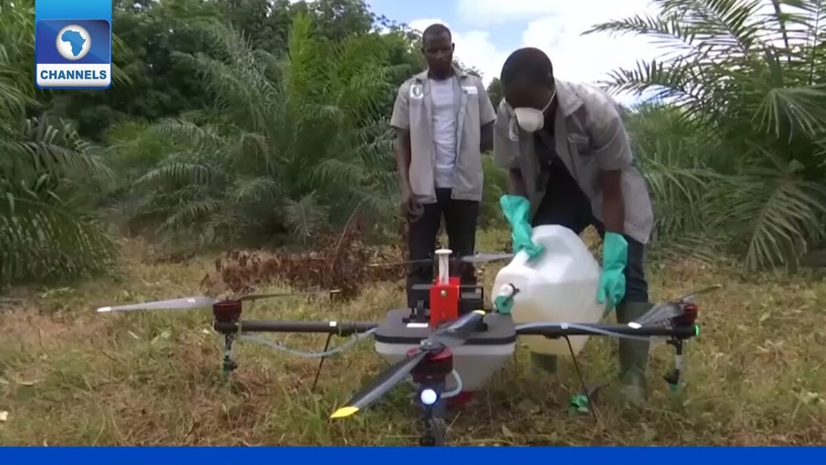 How To Deploy Technology In Agriculture – Onyaga