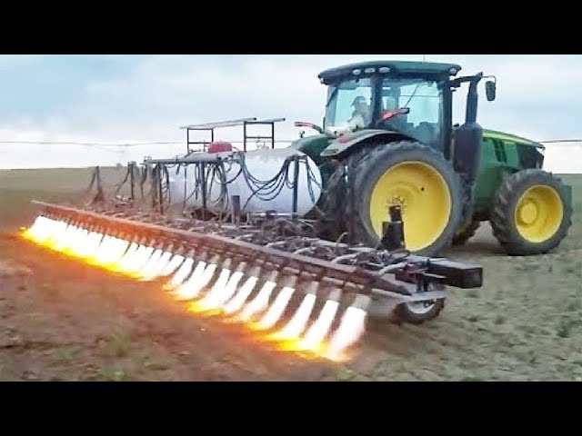 Amazing Agriculture Machinery Technology at New Level – Incredible Modern Corn Farming Machines