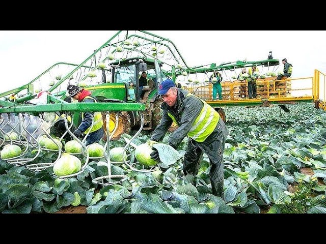 Germany became the leader of agricultural technology. America will never catch up.
