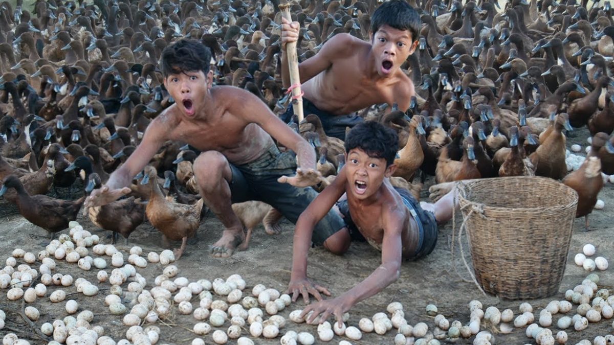 Primitive Technology – Find Food At Waterfall Meet Duck And Cooking Egg – Eating Delicious