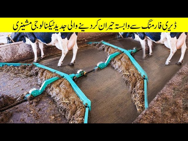 واہ کیا مشین ہے | Amazing Modern automatic Cows Farming Technology | Door Bini